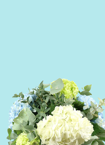 Same day Flowers Alperton